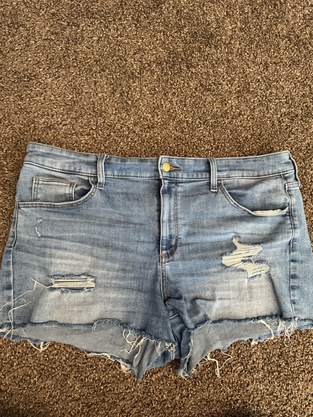 Women’s size 16 denim shorts